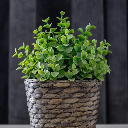 Appartement Osiedle Tysiaclecia - Nowoczesne Z Biurkiem Do Pracy Zdalnej I Parkingiem By Renters Katowice