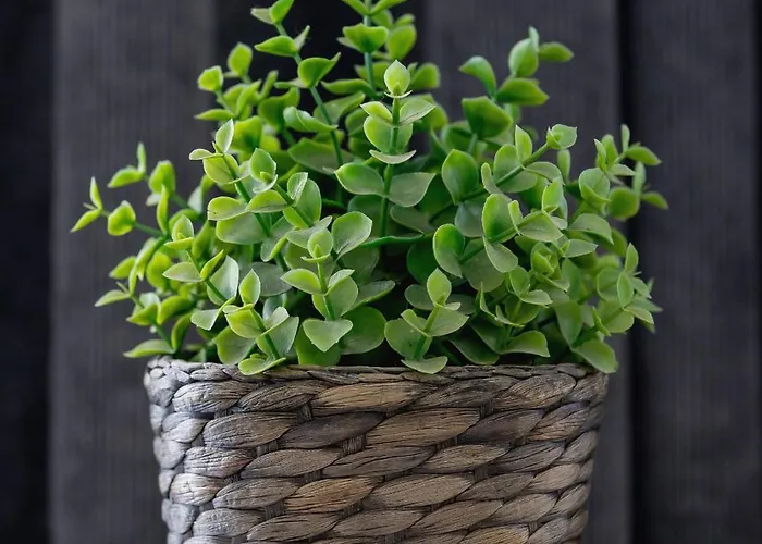 Appartement Osiedle Tysiaclecia - Nowoczesne Z Biurkiem Do Pracy Zdalnej I Parkingiem By Renters Katowice